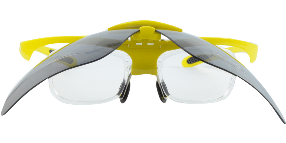Dina Glasses