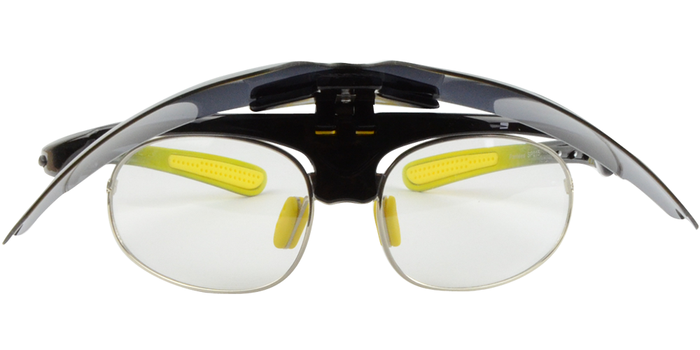 Elyne Glasses
