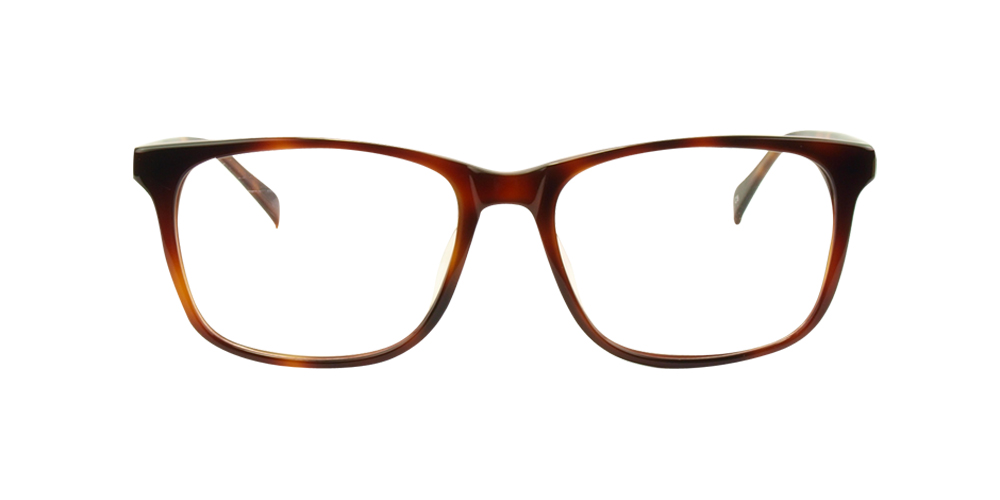 Arianna Glasses