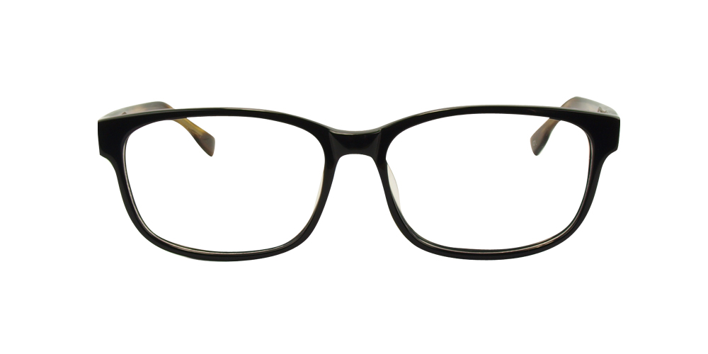 Alexis Glasses
