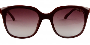 Elia Sunglasses