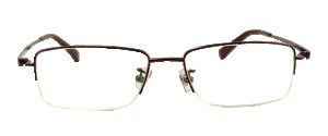 Kayla Glasses