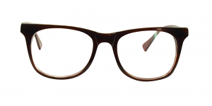 Kylie Glasses