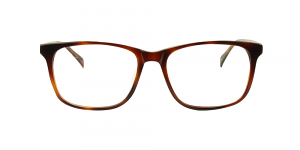 Arianna Glasses