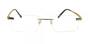 Gavin Glasses