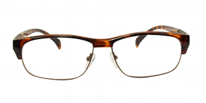 Noah Glasses